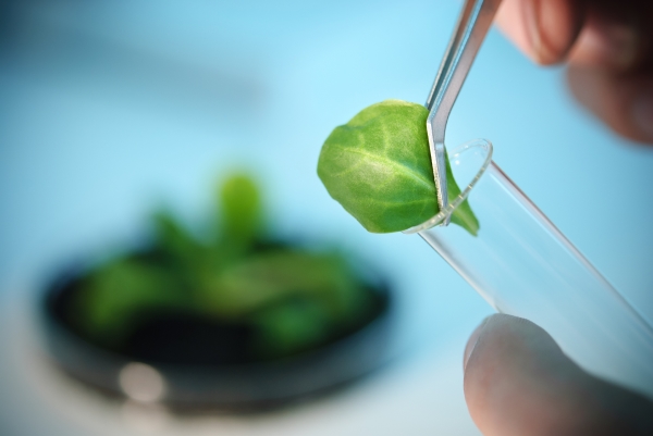 (Photo by iStock Photo) (Photo by iStock Photo)